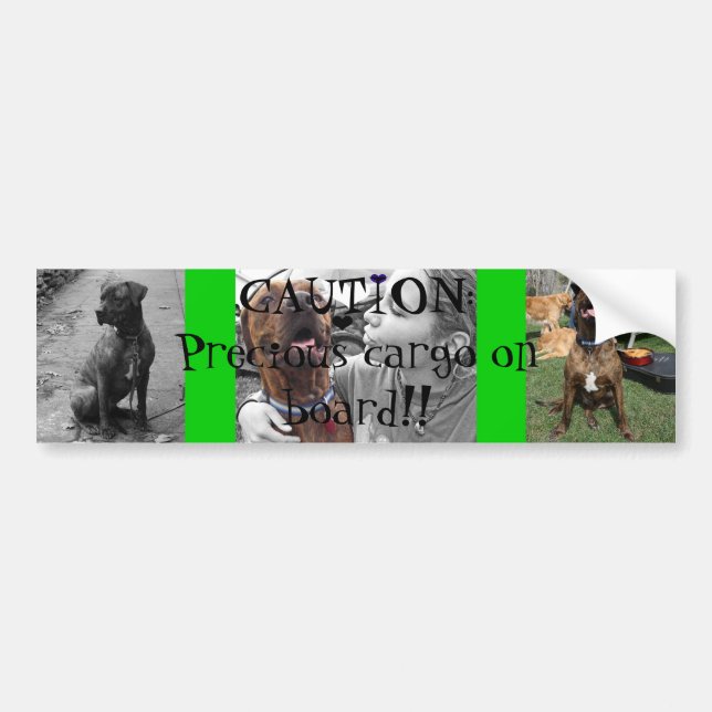 Wertvolle Fracht Autoaufkleber (Vorne)