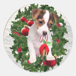 Wertvolle Jack-Russell-Weihnachtsaufkleber Runder Aufkleber