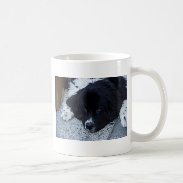Wertvolle Landseer Neufundland Geschenke Kaffeetasse (Rechts)