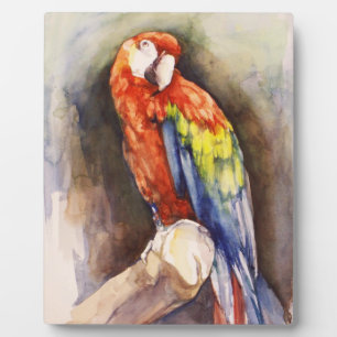 Wertvolle Parrot Plaque Fotoplatte