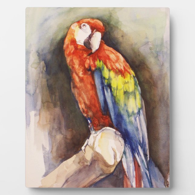 Wertvolle Parrot Plaque Fotoplatte (Vorderseite)