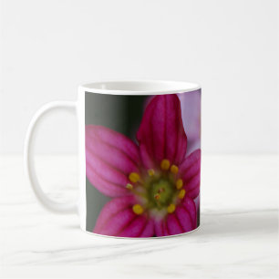 Wertvolle rosa Blume Kaffeetasse