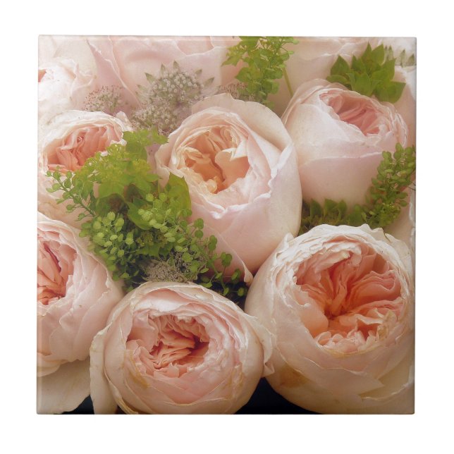 Wertvolle Rosen Fliese (Vorderseite)