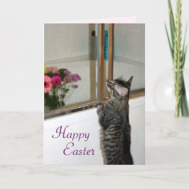 Wertvolle und schöne Kitten Osterkarte Feiertagskarte