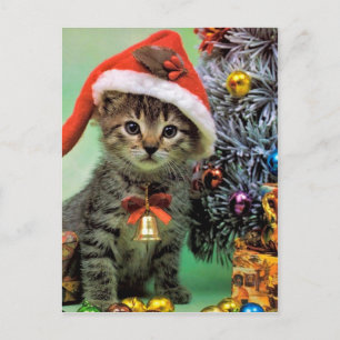 Wertvolle Weihnachtskatze Feiertagspostkarte