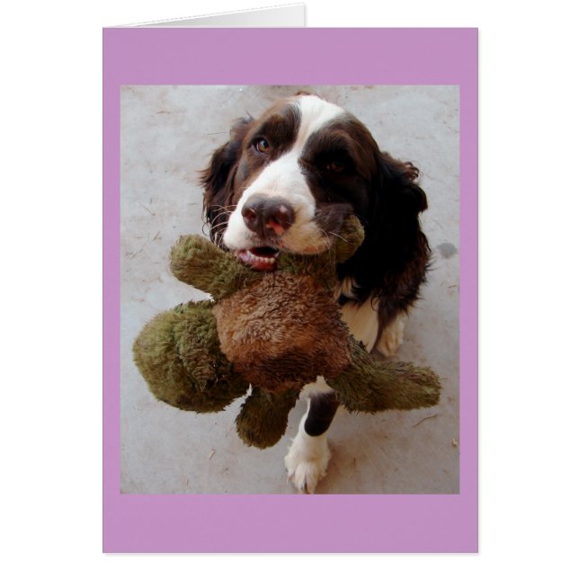 Wertvolle Welpe (Vorne)