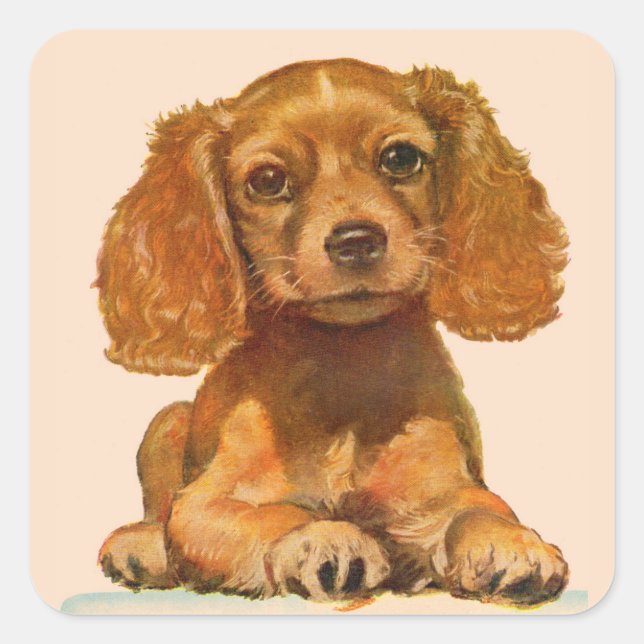 wertvoller Cocker-Spaniel-Welpe Quadratischer Aufkleber (Vorderseite)