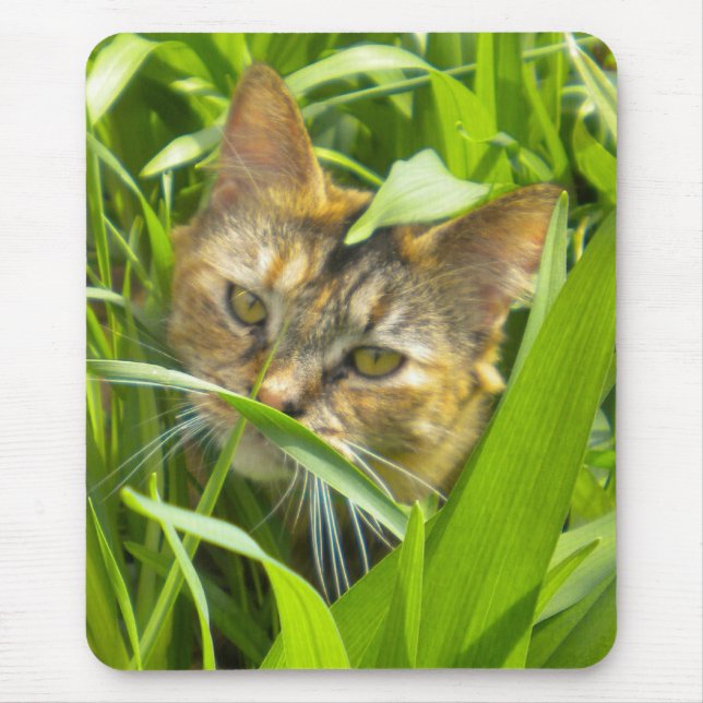 Wertvoller Jungle Kitty Mouse Pad Mousepad (Vorne)