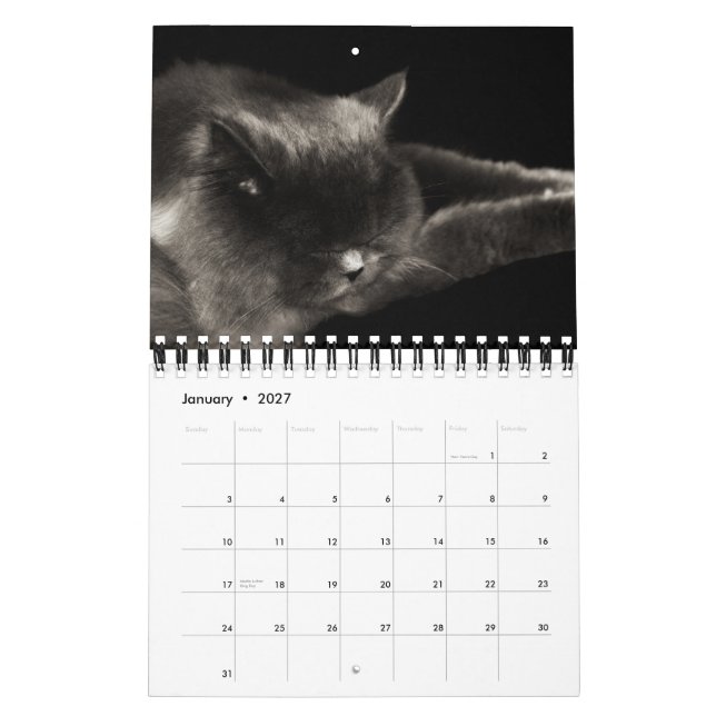Wertvoller Kalender der Katzen-2012 (Jan 2027)