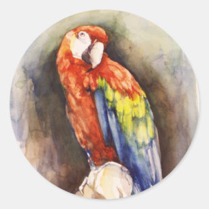 Wertvoller Papageiensticker Runder Aufkleber