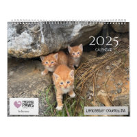 Wertvoller Paws-2025-Kalender