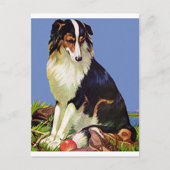 Wertvolles Haustier Postkarte (Vorderseite)
