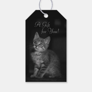 Wertvolles Kitten ein Geschenk für Ihren benutzerd Geschenkanhänger
