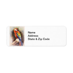 Wertvolles Parrot