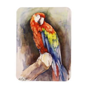 Wertvolles Parrot Premium Magnet