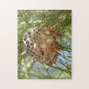 Wespe-Nest Puzzle