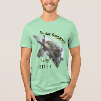 Wespen-Spinne Nahaufnahme Lustiges T-Shirt