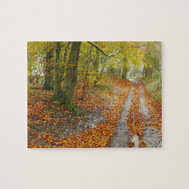 West Berkshire Path im Herbstpuzzle Puzzle (Horizontal)