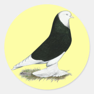 West Black Bald Pigeon Runder Aufkleber