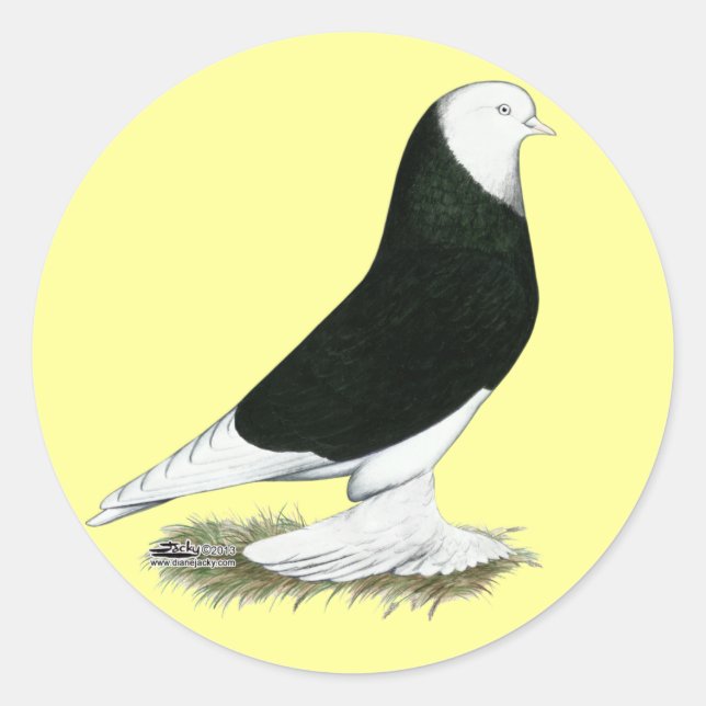 West Black Bald Pigeon Runder Aufkleber (Vorderseite)