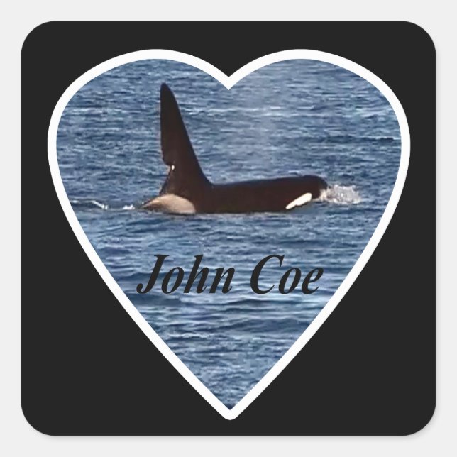 West Coast Killer Whale "John Coe" Orca Quadratischer Aufkleber (Vorderseite)