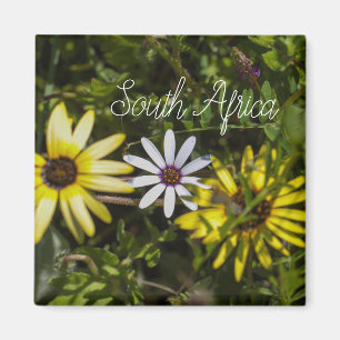 West Coast South Africa Wild Flower  ZA Magnet