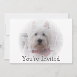 West Highland Terrier Einladung