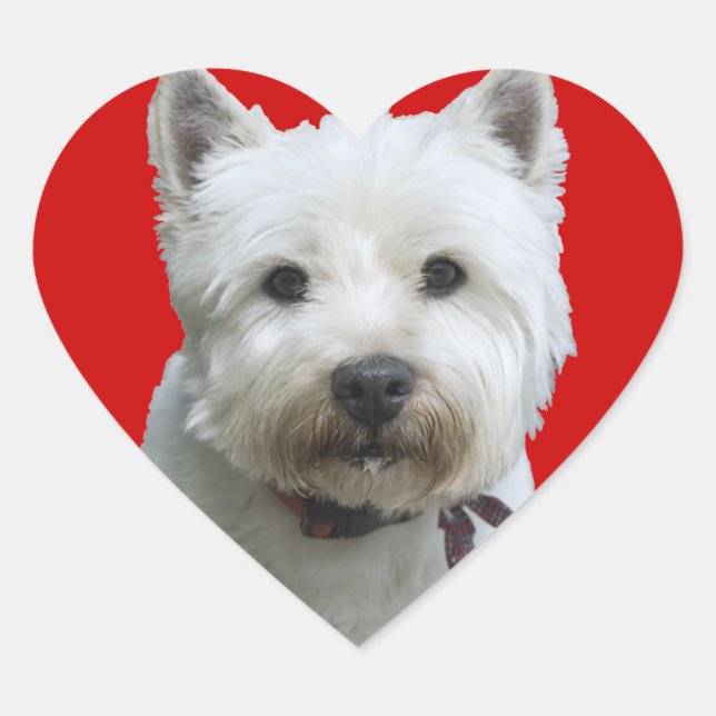 West Highland Terrier Herz-Aufkleber (Vorderseite)