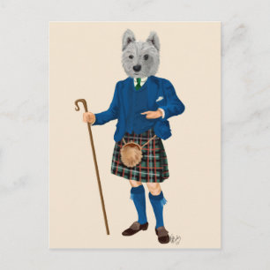 West Highland Terrier in Kilt Postkarte