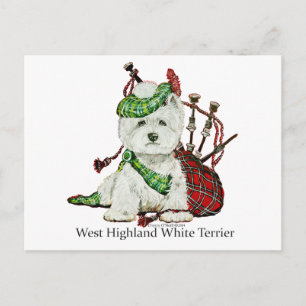 West Highland Terrier Postkarte
