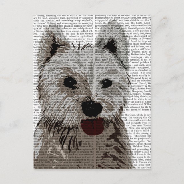 West Highland Terrier Schlicht Postkarte (Vorderseite)