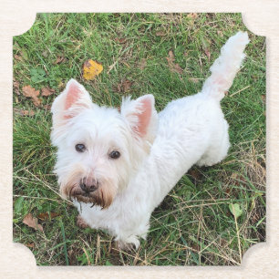 West Highland Terrier Untersetzer