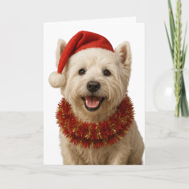 West Highland Terrier Weihnachtskarte Karte (Vorderseite)