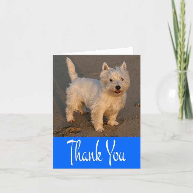 West Highland Terrier Welpe Hund Blank Blue Card Dankeskarte (Vorderseite)