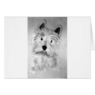West Highland White Terrier