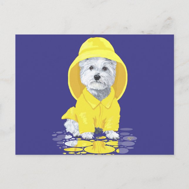West Highland White Terrier April Duwers Postkarte (Vorderseite)