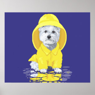 West Highland White Terrier Aprils Schauer Poster