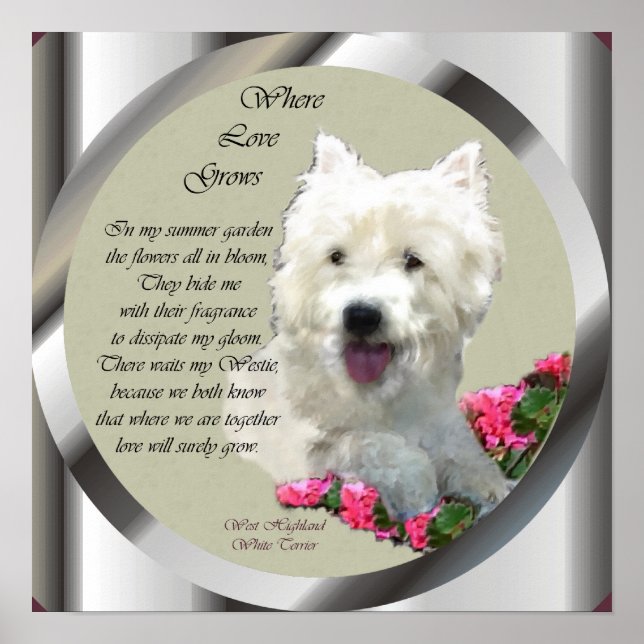 West Highland White Terrier Art Print Poster (Vorne)