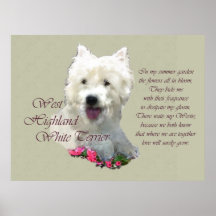 West Highland White Terrier Art Prints