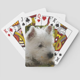 West Highland White Terrier Dog Playing Cards Spielkarten