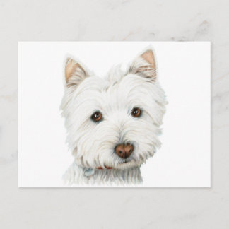 West Highland White Terrier Dog Postkarte