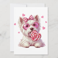West Highland White Terrier