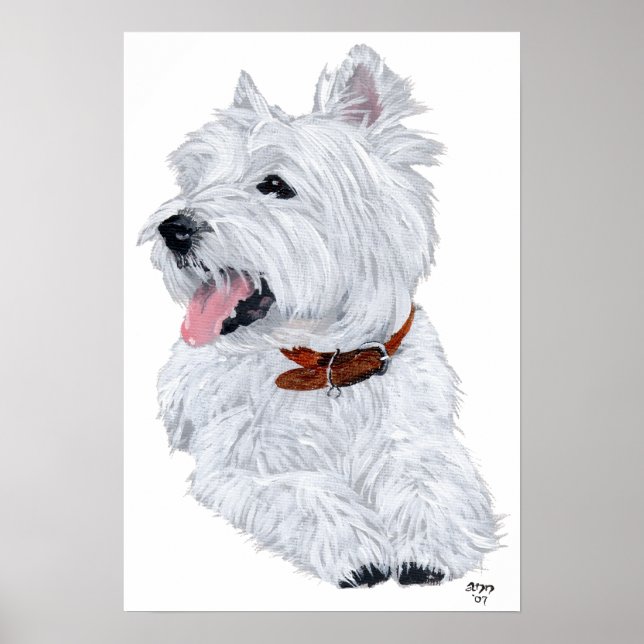 West Highland White Terrier Koch Poster (Vorne)