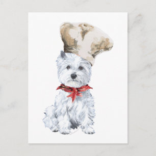 West Highland White Terrier Koch Postkarte