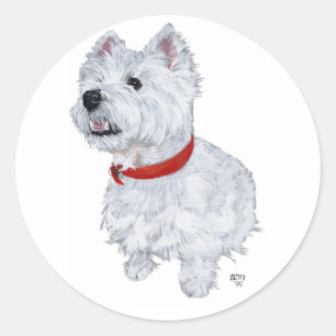 West Highland White Terrier - Nach oben schauend Runder Aufkleber