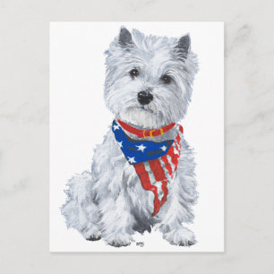 West Highland White Terrier Patriotic Postkarte