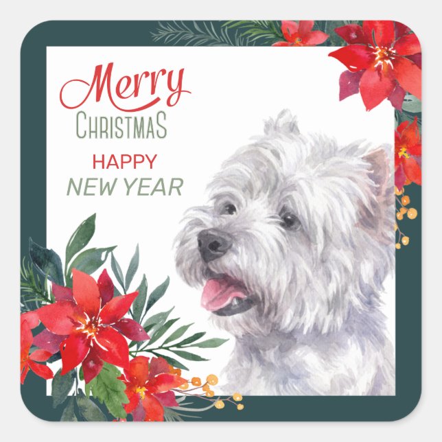 West Highland White Terrier Poinsettia Border Quadratischer Aufkleber (Vorderseite)