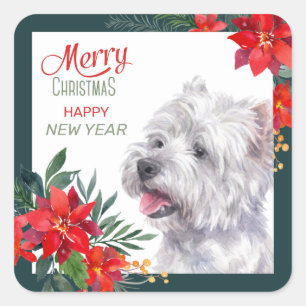 West Highland White Terrier Poinsettia Border Quadratischer Aufkleber