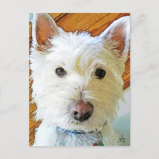 West Highland White Terrier Postkarte