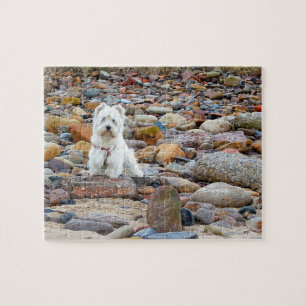 West Highland White Terrier Puzzle